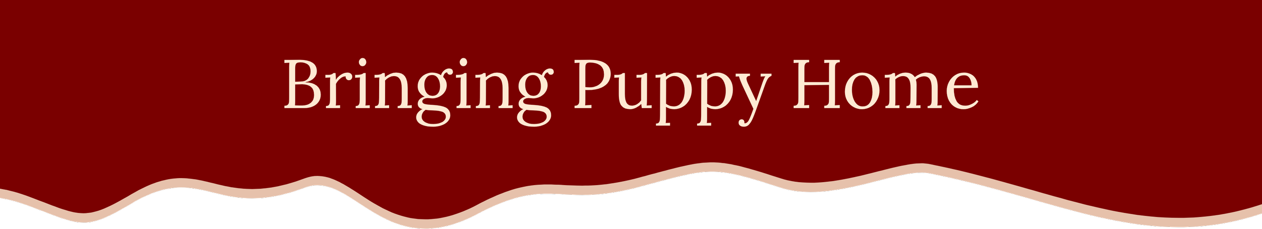 Section: Bring Puppy Home