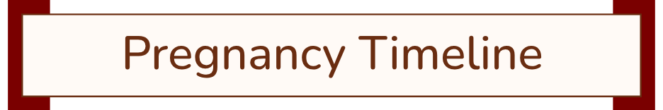 A graphic showing a pregnancy timeline, with a maroon background and white text.
