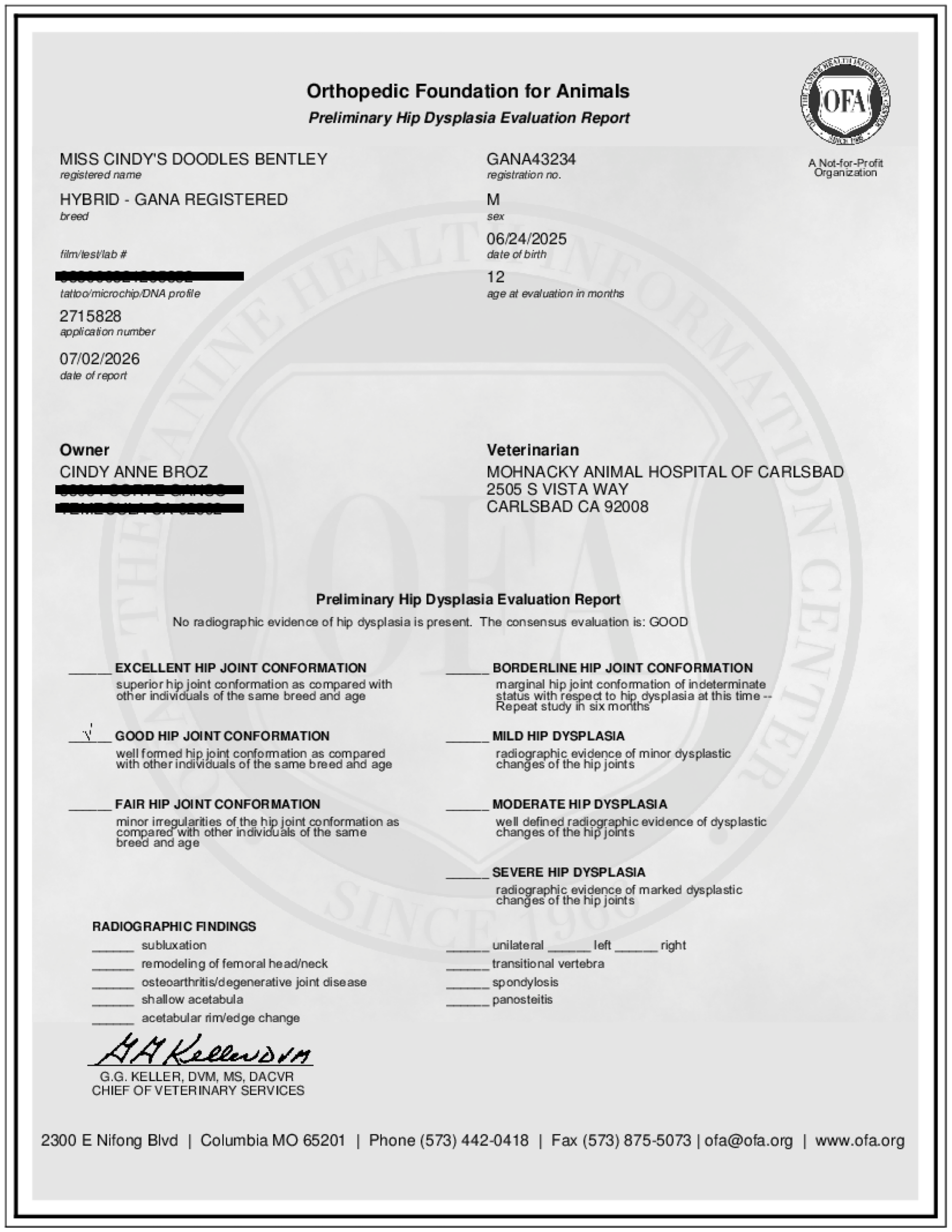 Bentley OFA Hip Evaluation