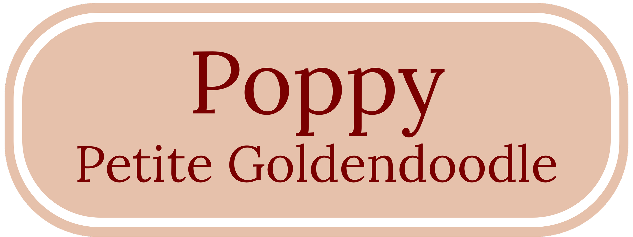 Poppy Banner
