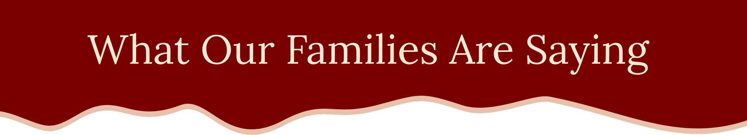 Sections: What our families are saying (Google Reviews)