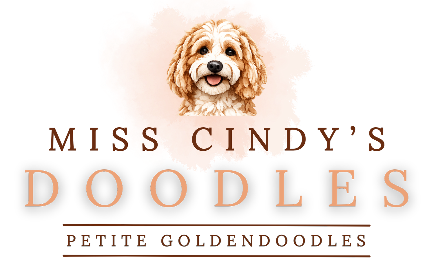 Logo for Miss Cindy's Doodles featuring a portrait of a small, golden doodle puppy with curly fur and a happy expression, set against a pink, paint-splatter background, with the text "Miss Cindy's Doodles" and "Petite Goldendoodles".