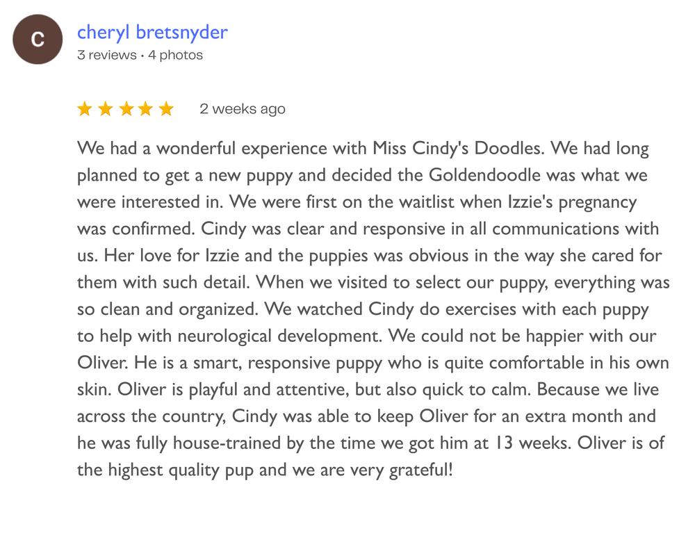 A customer review for Miss Cindy's Doodles describing their experience with adopting a puppy, called Oliver, who was a Goldendoodle. The review highlights Cindy's responsiveness, the care taken in choosing the puppy, and Oliver's personality and growth.