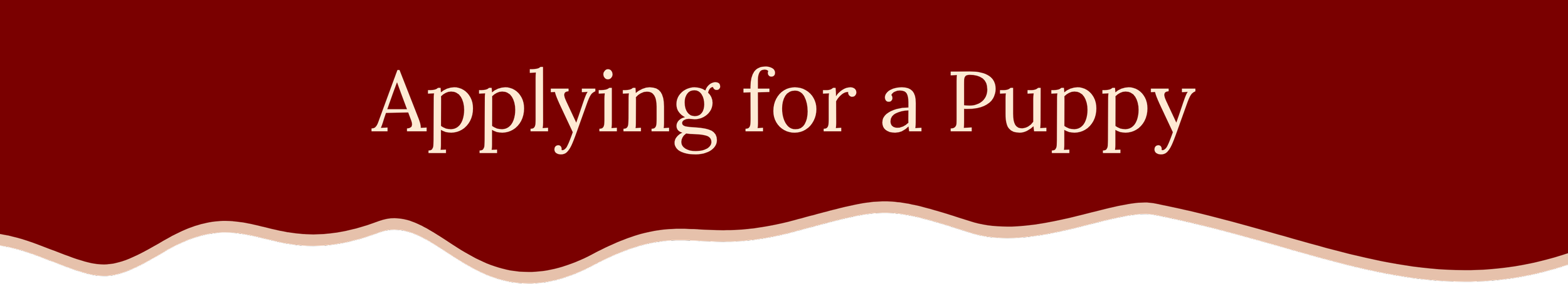 Red and black graphic with text 'Applying for a Puppy'.
