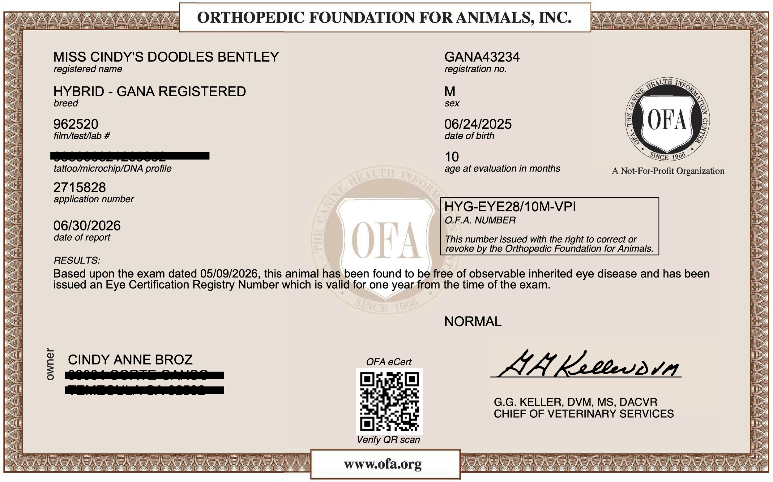 Bentley CAER Eye Examination Certificate