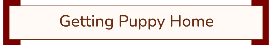 Text reads 'Getting Puppy Home' on a sign with a brown border and beige background.