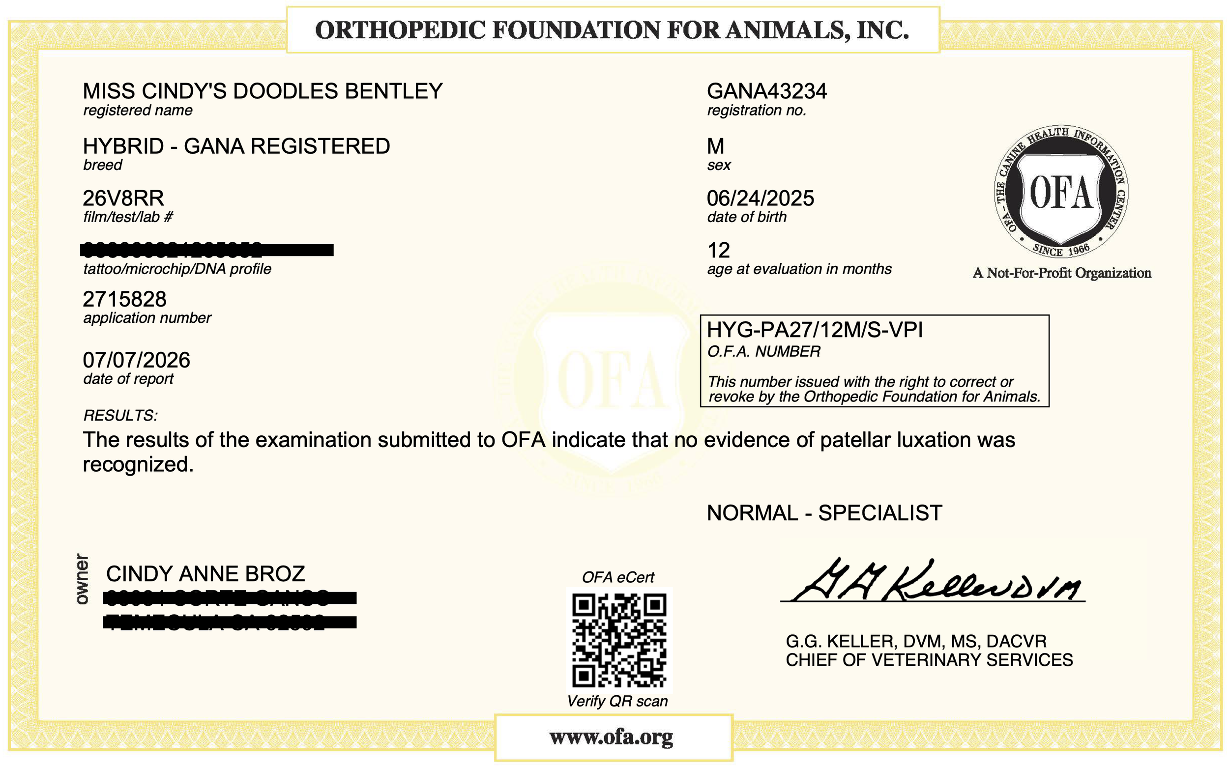 Bentley OFA Patella Certificate