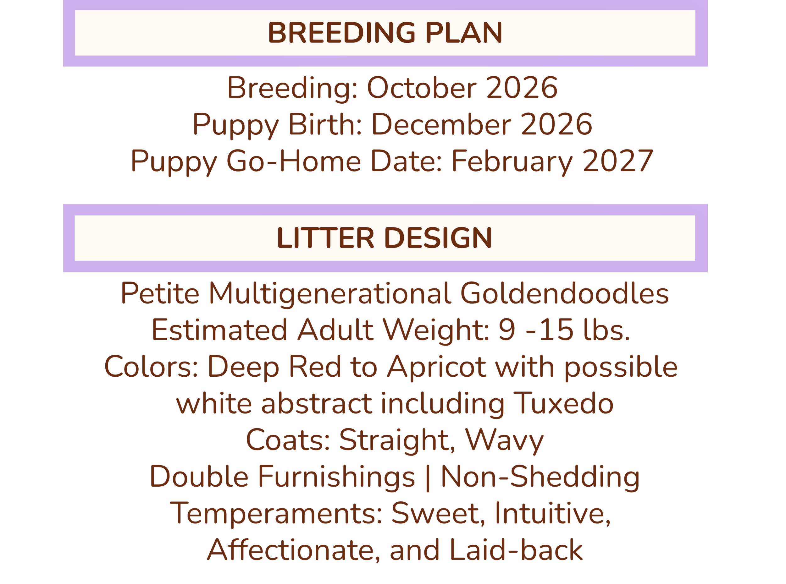 A breeding plan for a litter of puppies. The plan includes details on breeding date, puppy birth date, go-home date, and litter design, with specific traits and colors described.