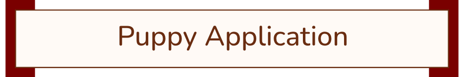 A banner with the words 'Puppy Application' written on it, likely for a pet adoption or breeding event.
