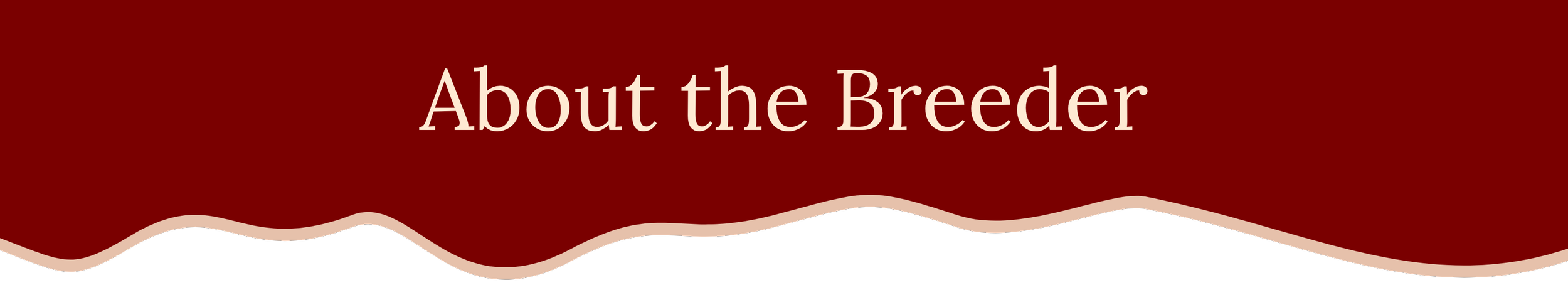 Red background with the text 'About the Breeder' in large white letters.
