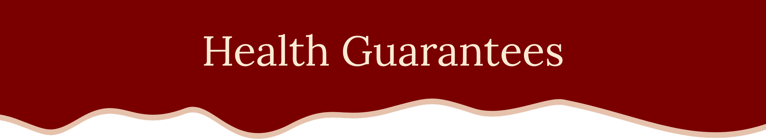 Health Guarantees for Goldendoodle Puppies