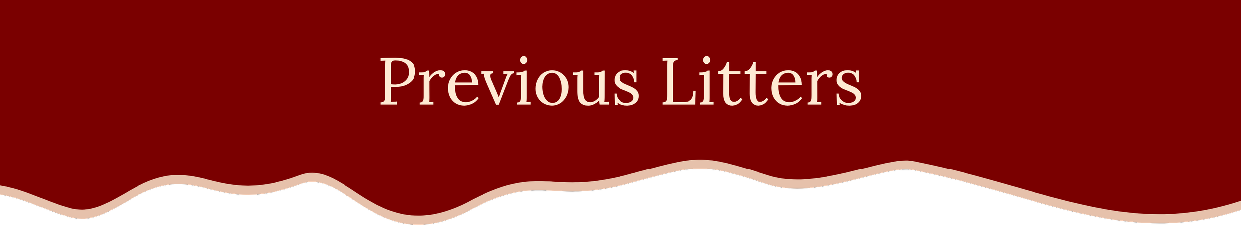 Text overlay reading 'Previous Litters' on a red and black wavy background.
