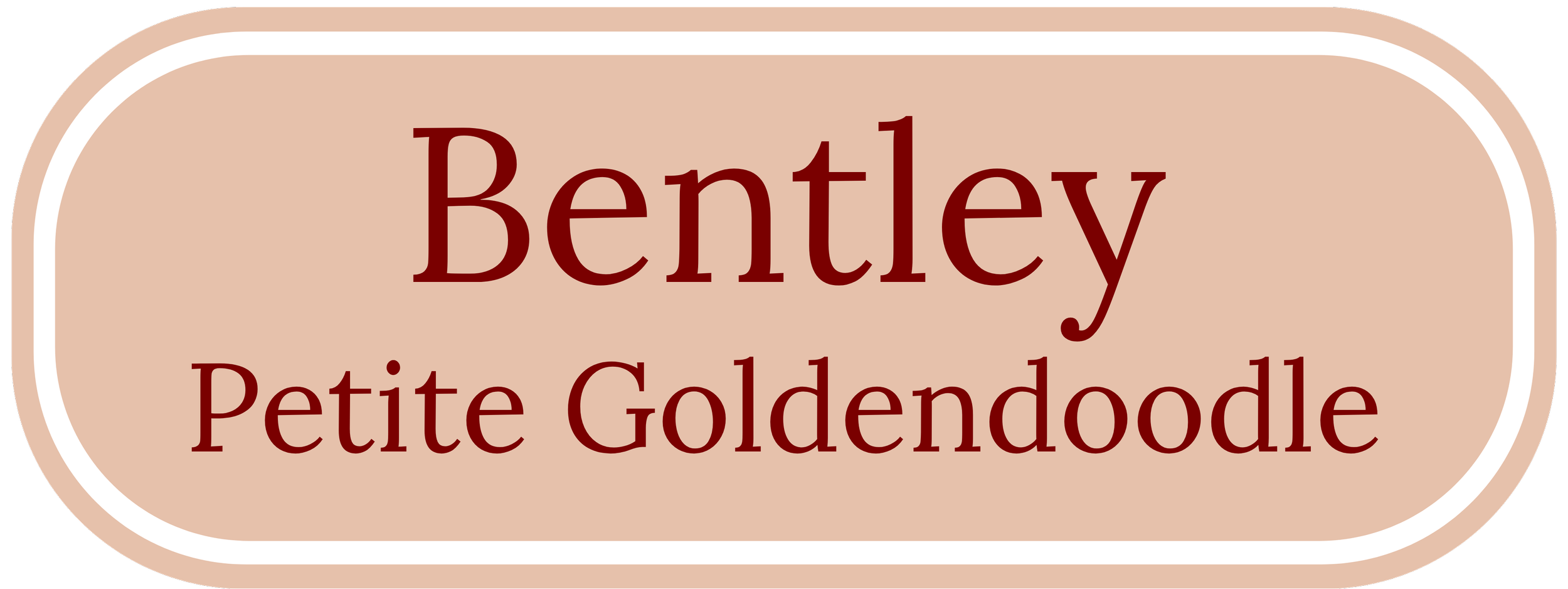 Bentley Banner.png