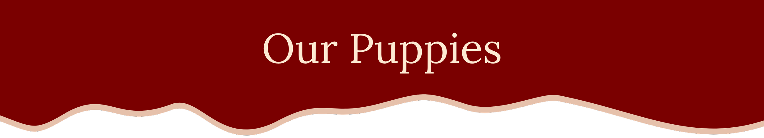 Banner: Our Puppies