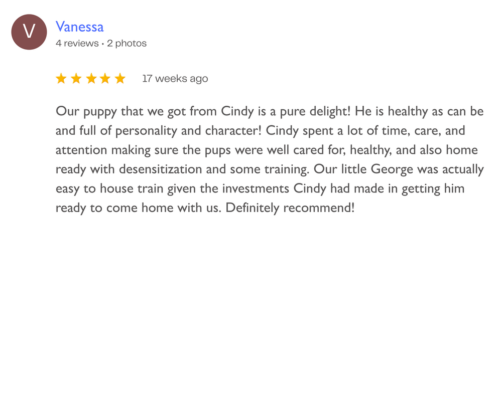 Customer review about a puppy, mentioning its good health, personality, and training with a family.