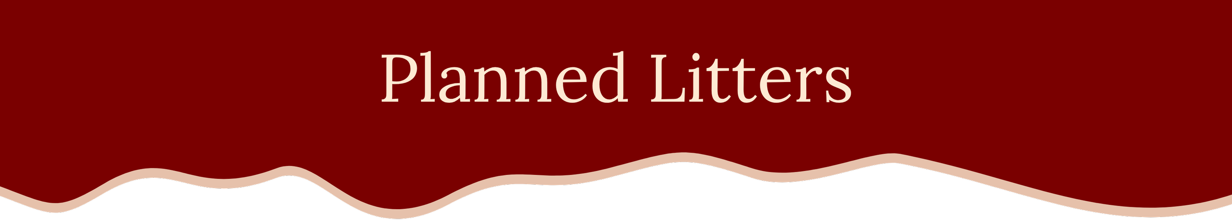 Banner: Planned Litters of Petite Goldendoodles