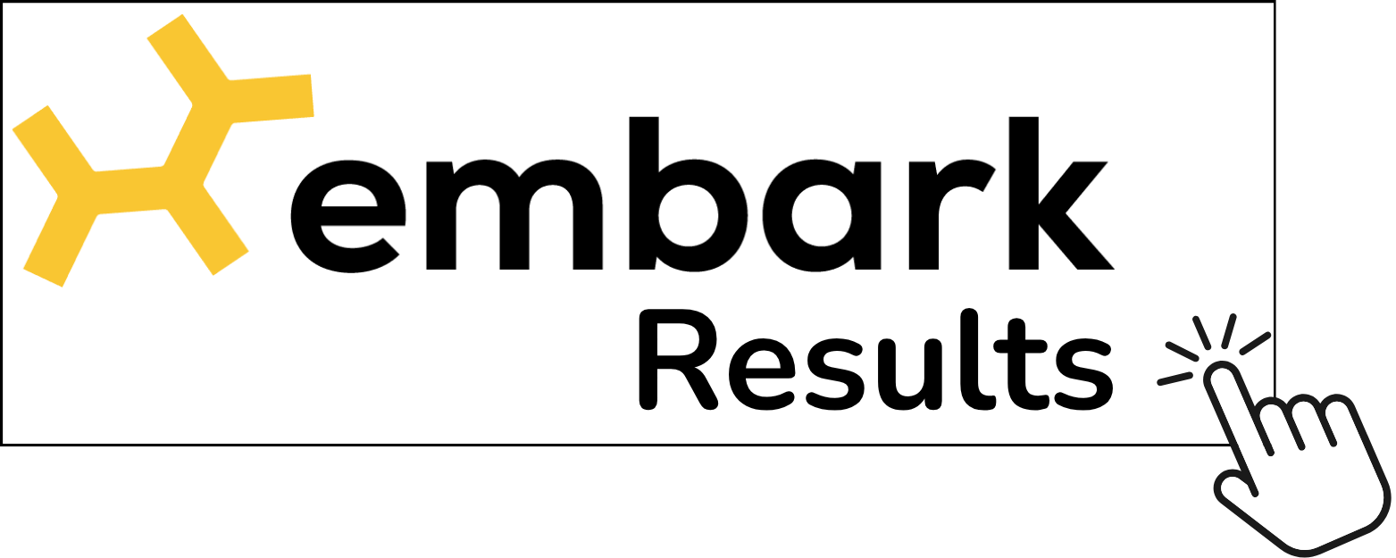 Embark Results logo with a yellow hexagonal icon and a hand clicking on a button