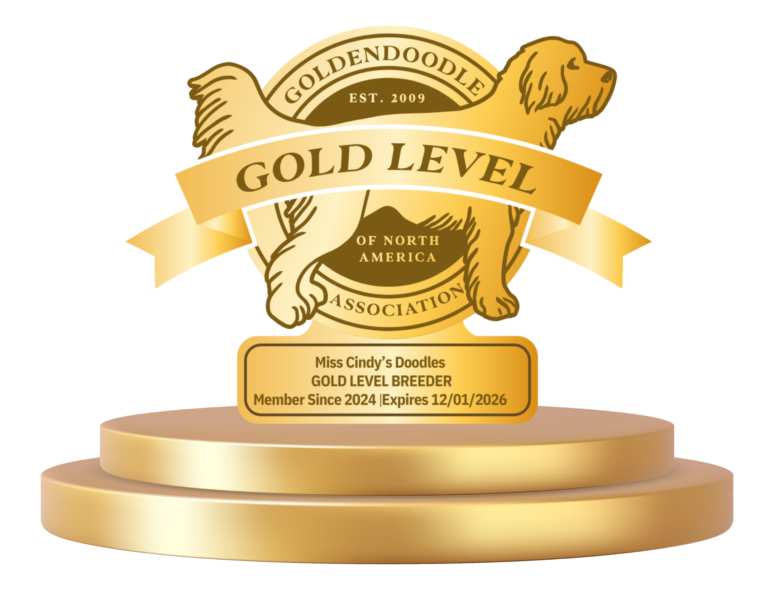 A gold-colored award plaque featuring a stylized dog illustration, with the words "Gold Level" and "North America" and a recognition message to Miss Cindy's Doodles for being a Gold Level Breeder, established 2009, member since 2024, expires 12/01/2026.