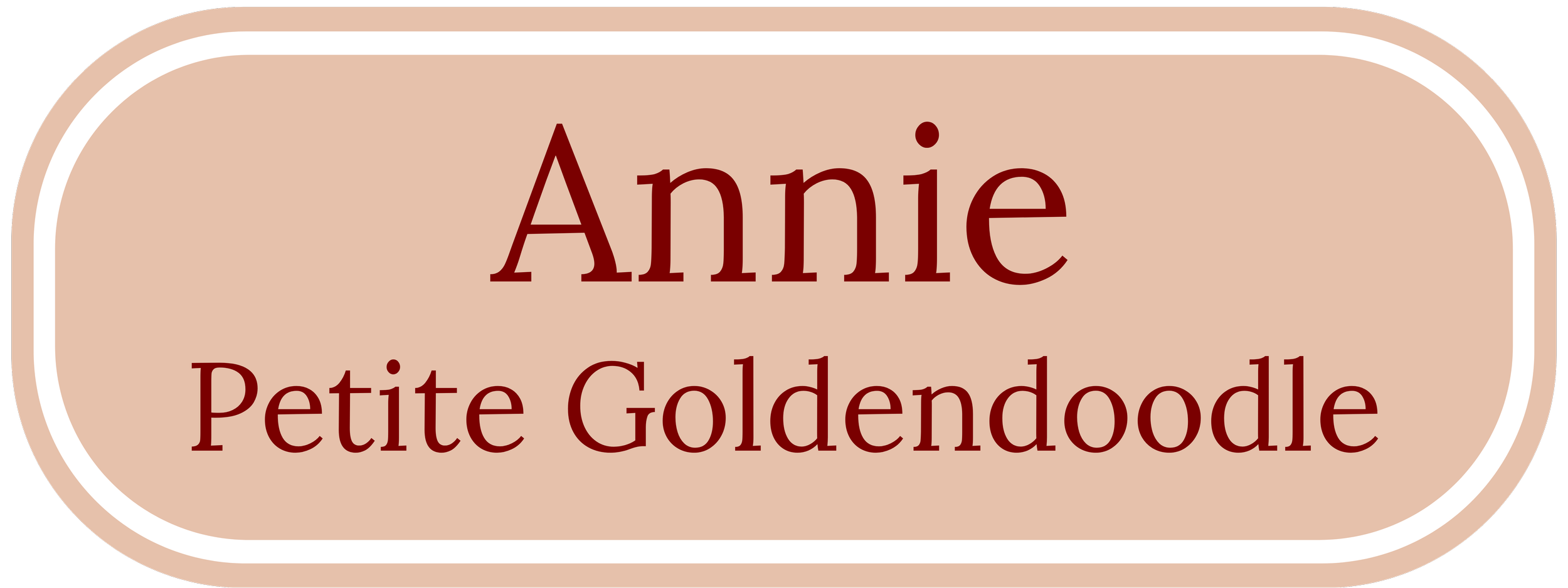 Annie - Petite Goldendoodle (mom)