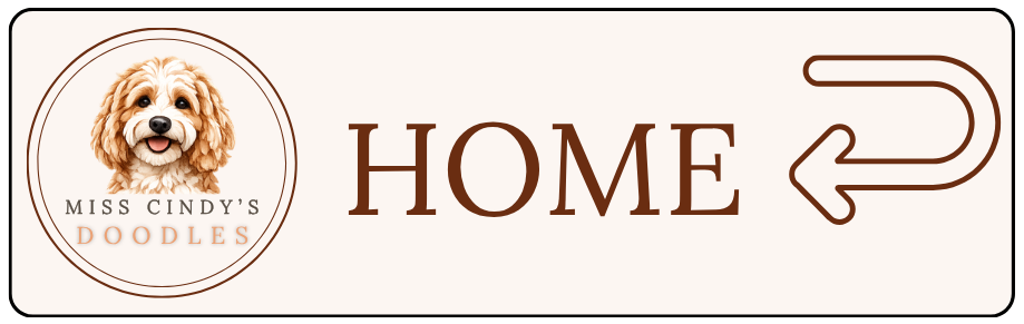 Go Home Button