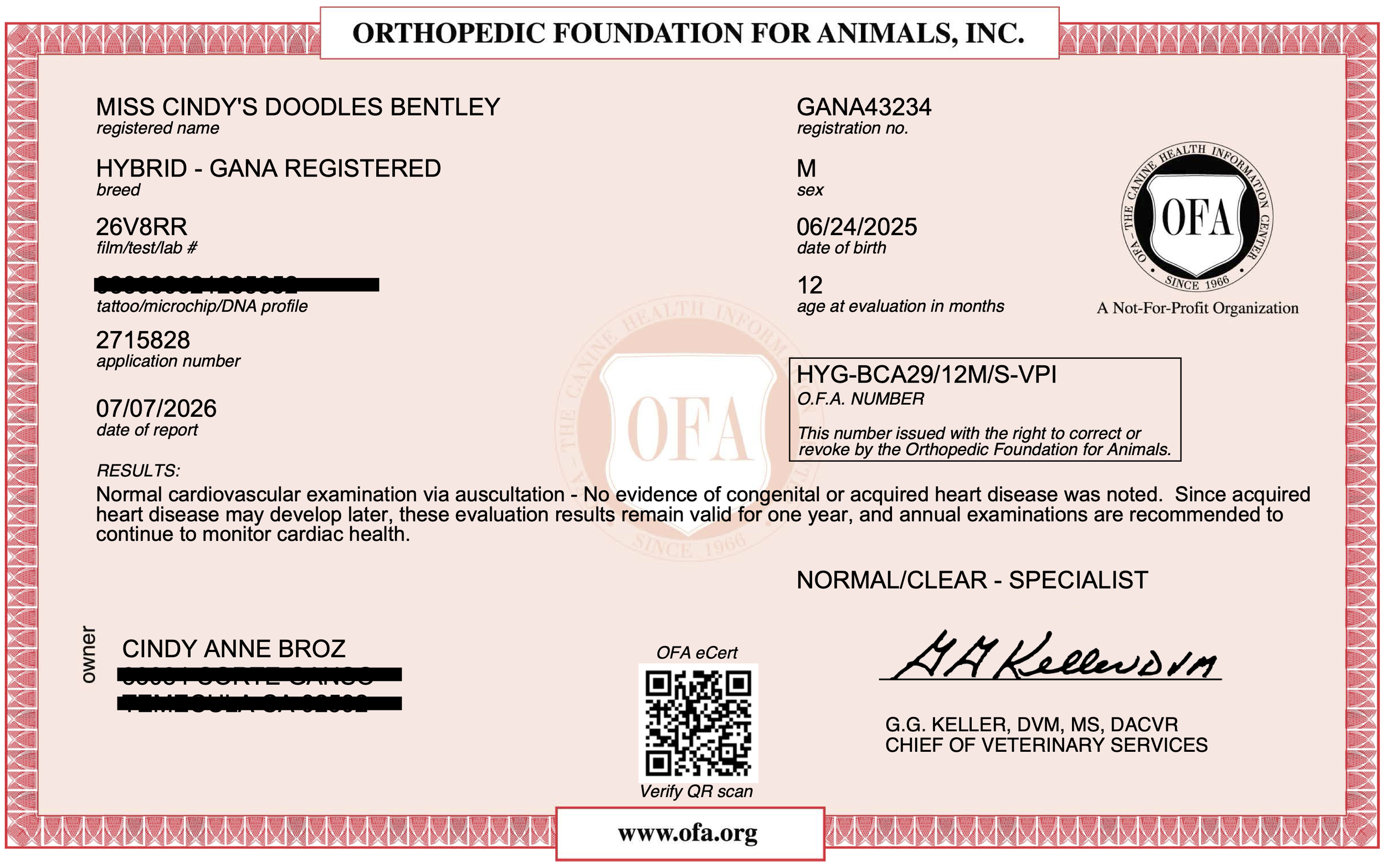 Bentley OFA Basic Cardiac Certificate