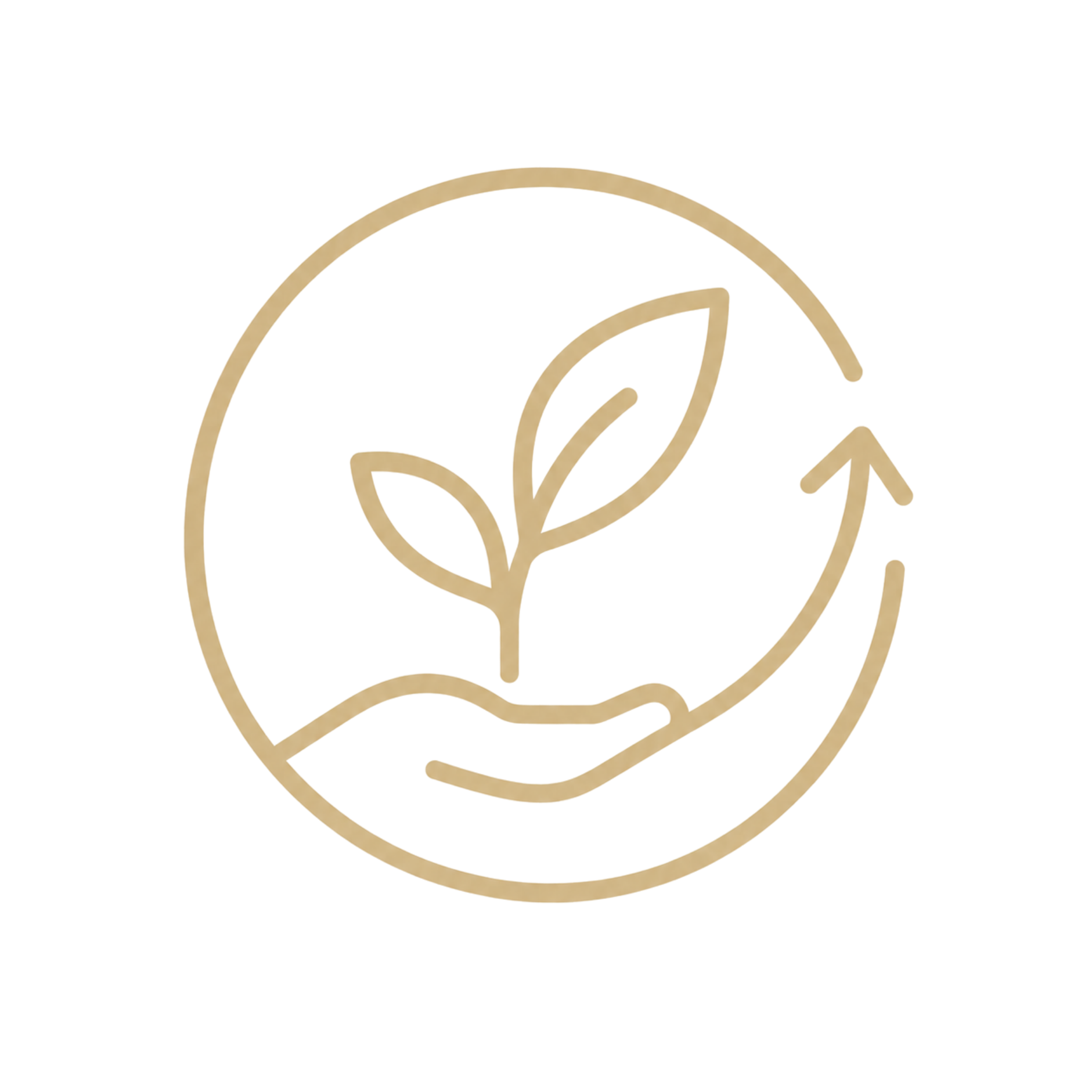 A round, gold-outlined emblem featuring a stylized leaf design inside a red circle.
