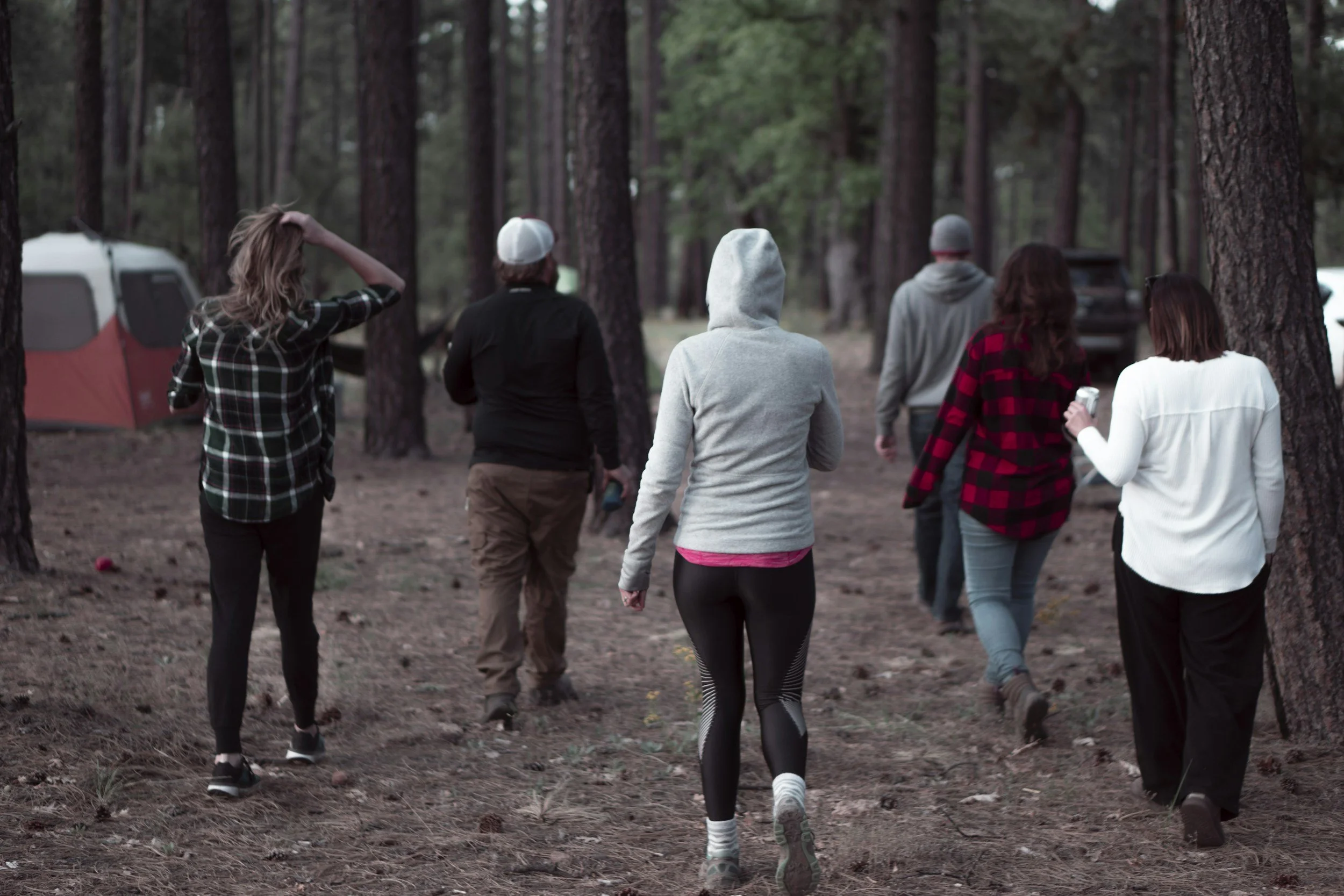 Group of people walking through a forested area with tall trees and a tent in the background.