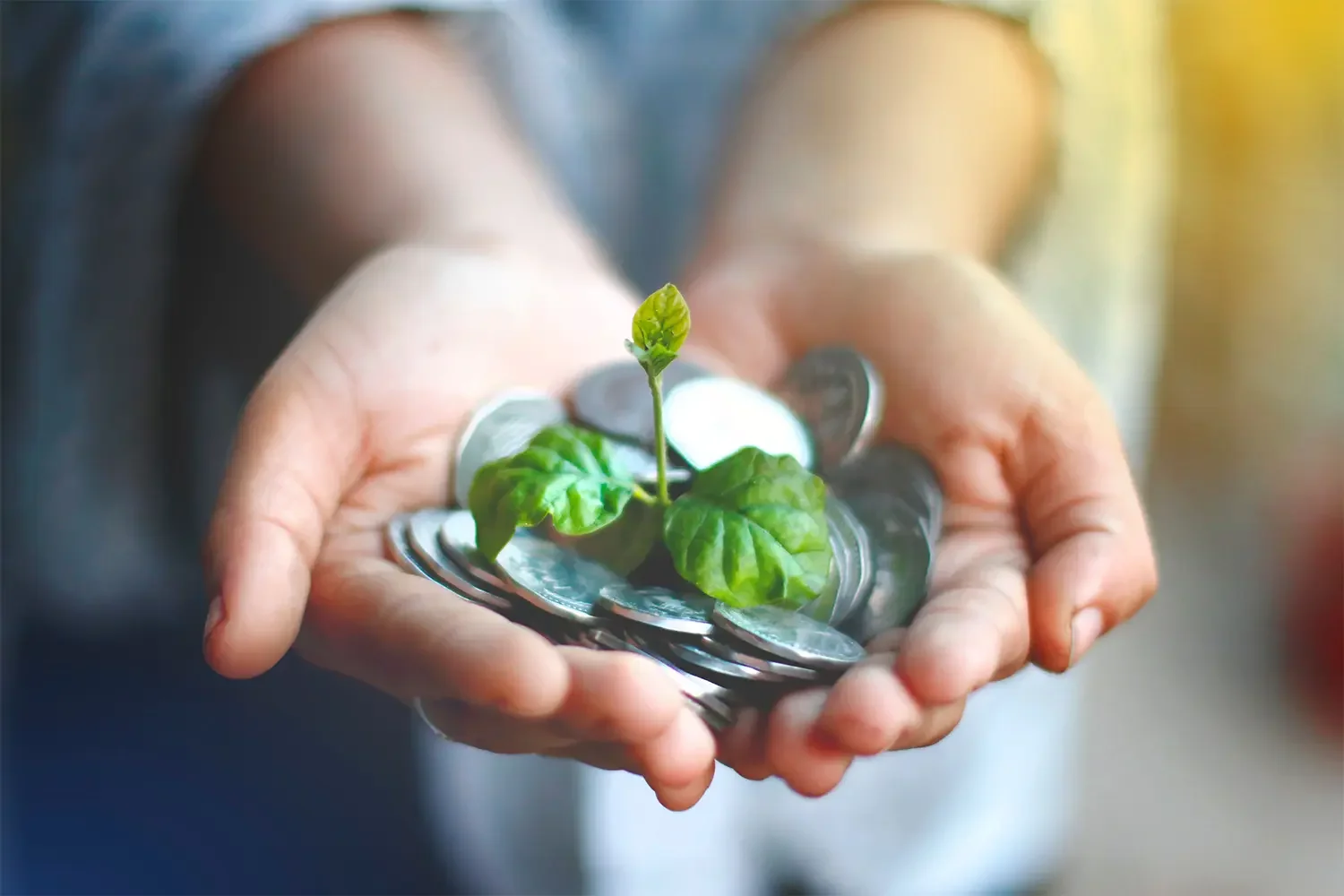 Veracove Method Step 5: Stewardship and Connection. Ongoing business operations consulting and facility stewardship support by Veracove LLC in Nixa, Missouri.