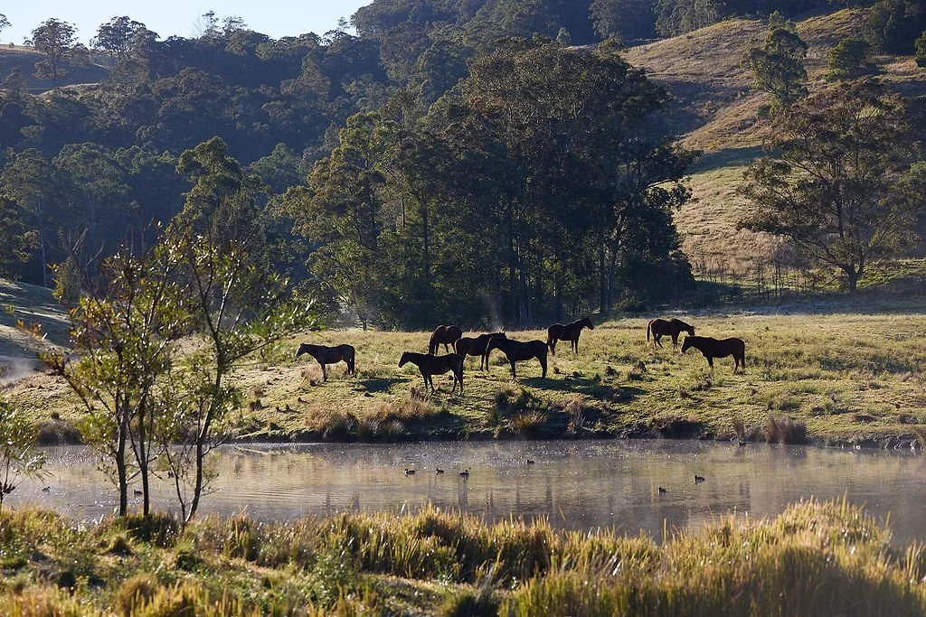 Hunter Valley Things to Do | Food, Wine &amp; Scenic Getaways