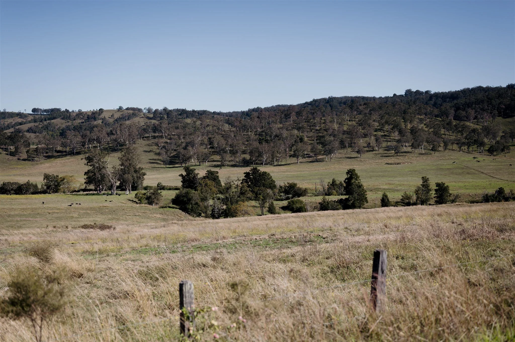 How far is Dungog from Sydney?