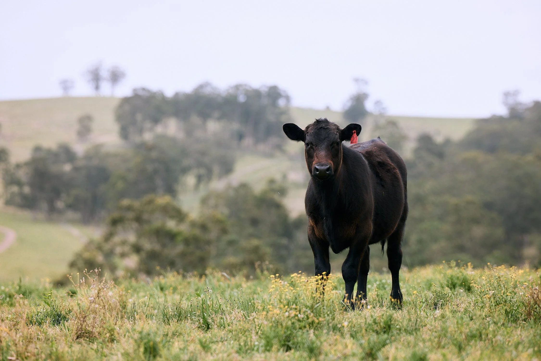 Why Should I Go on a Farm Holiday?
