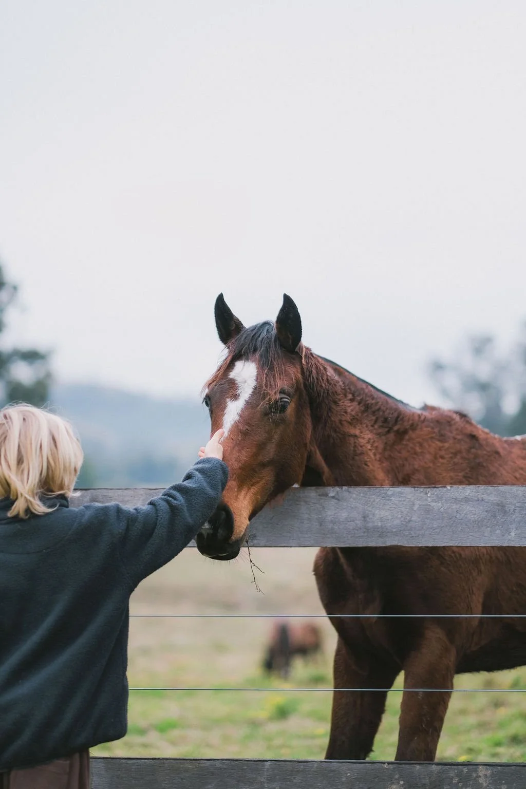 Best Family Farm Stay in Dungog NSW | Wallaringa Farm