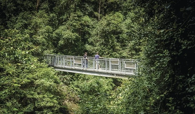 Barrington Tops National Park