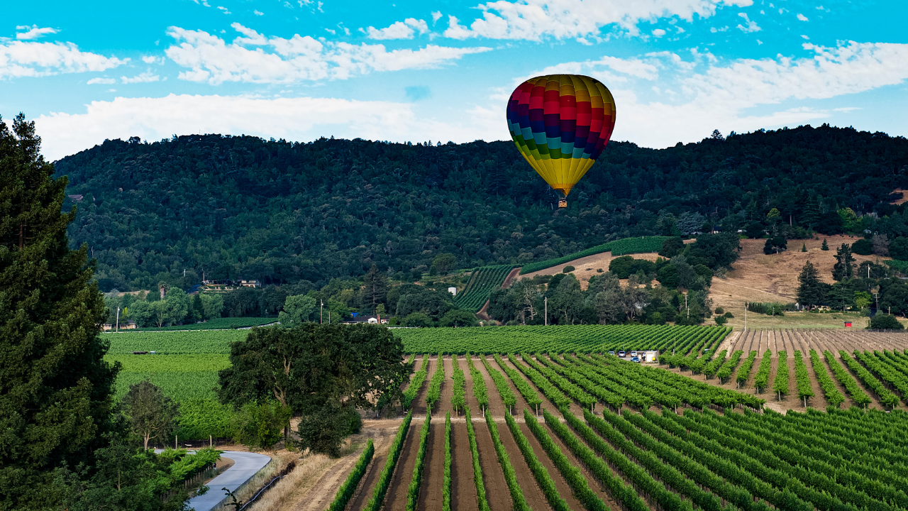 Spring in Hunter Valley: 7 Best Things to Do