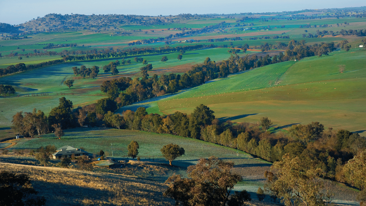 8 Best Farm Stay Holidays in NSW by Region