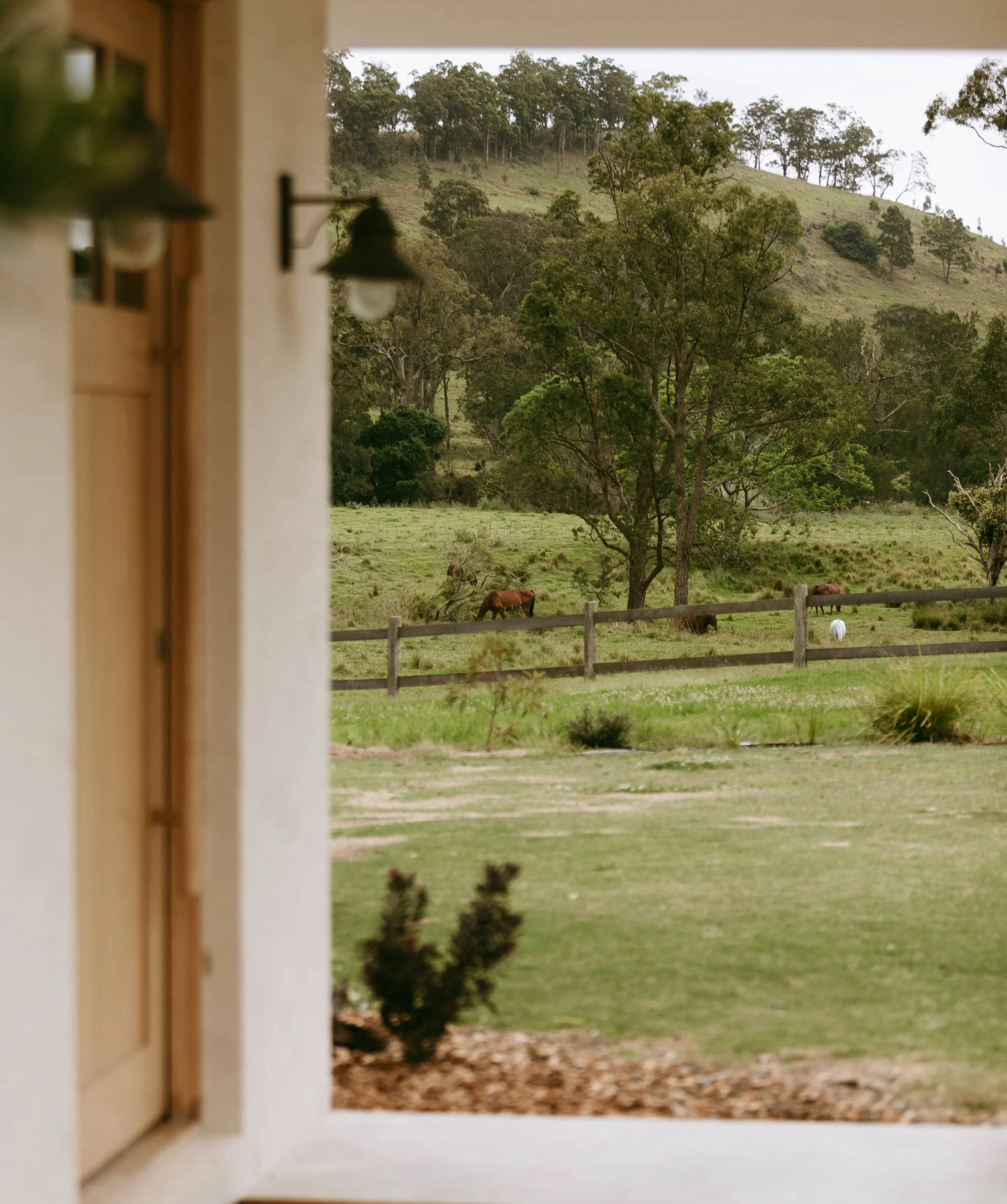 Hunter Valley Wine Guide: What to Taste, Where to Go and How to Plan Your Visit