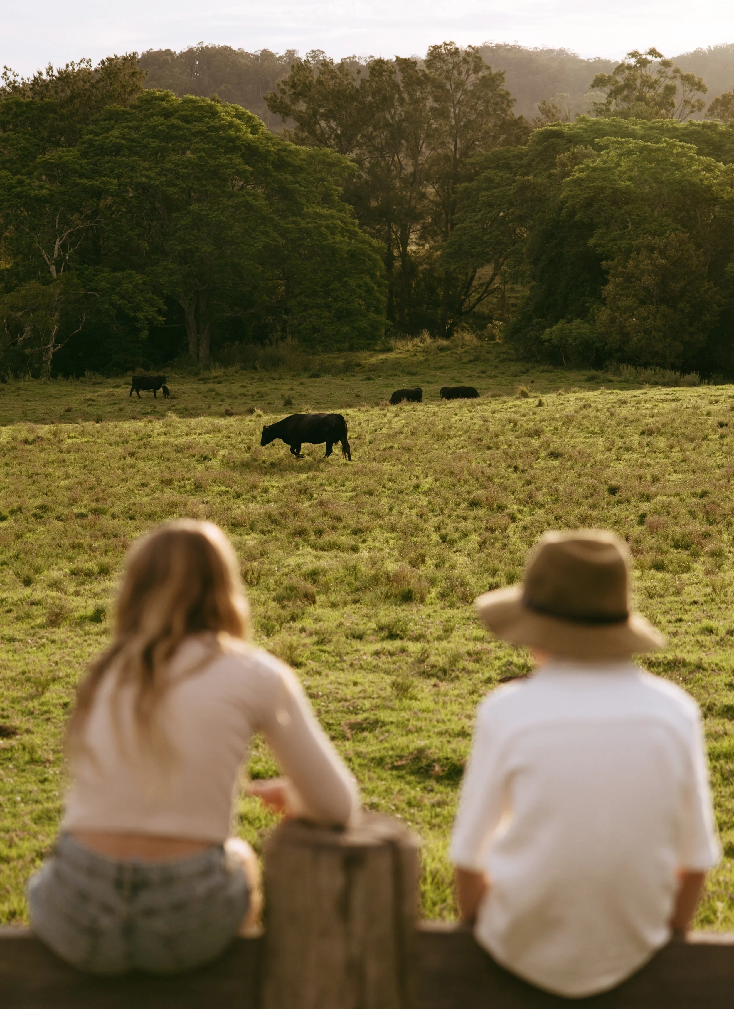 Spring in Hunter Valley: 7 Best Things to Do