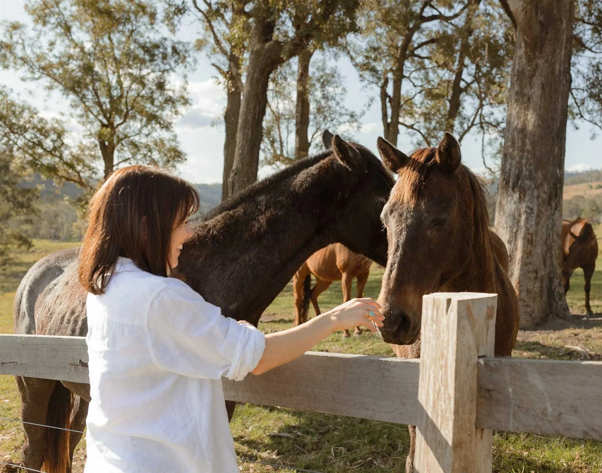 A woman with light skin and long brown hair petting a brown and black horse at a wooden fence outdoors with trees in the background.