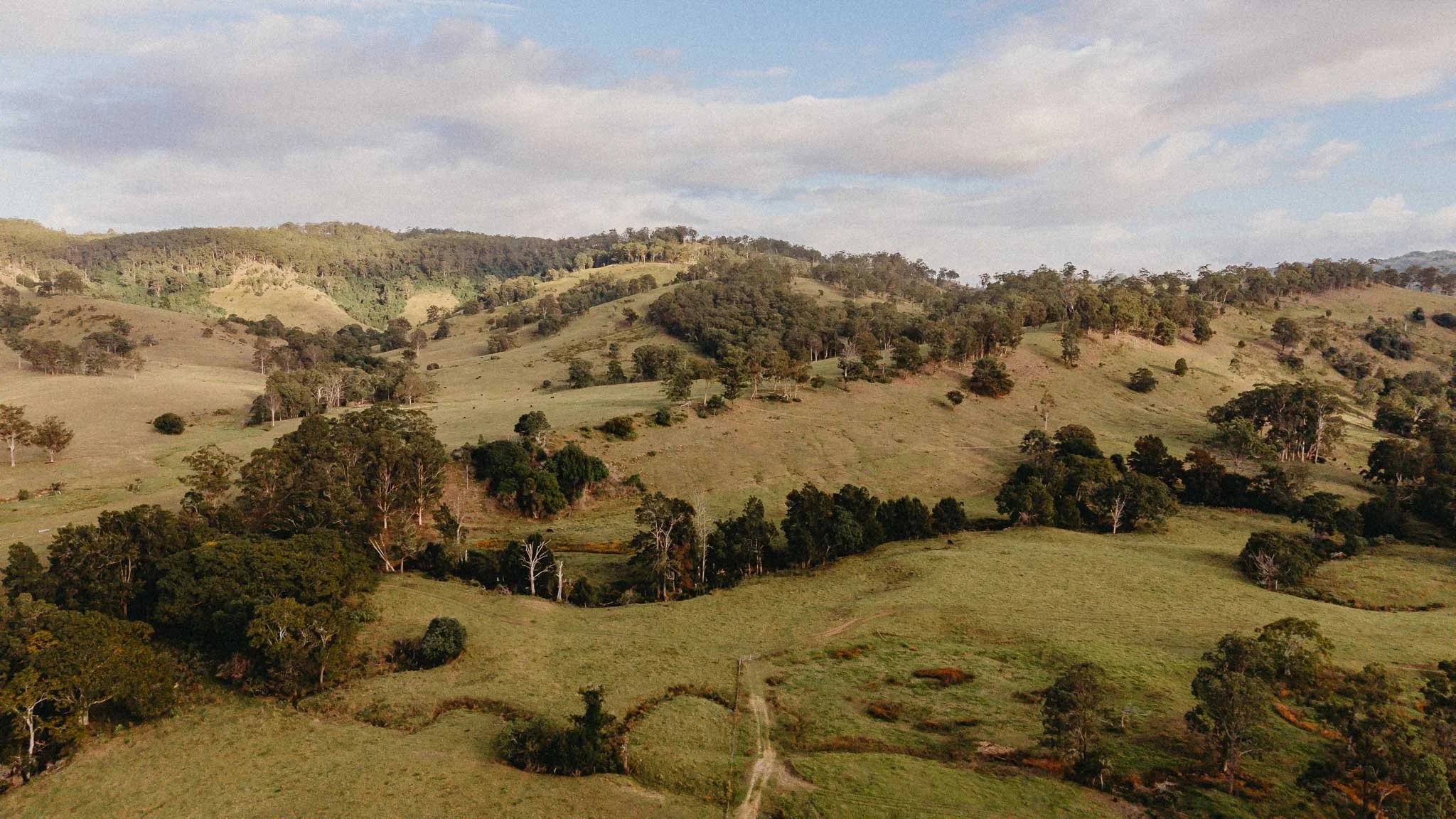 A landscape of rolling green hills with scattered trees under a partly cloudy sky.