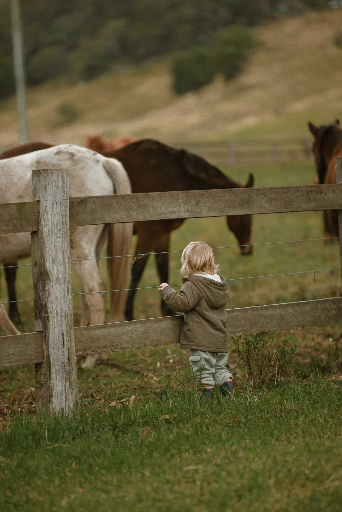 A young child with blonde hair wearing a brown jacket, gray pants, and black rubber boots stands outside by a wooden fence, looking at and reaching toward a few horses in the field.