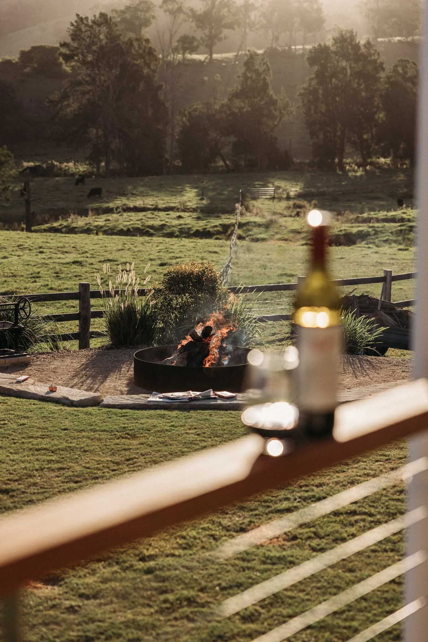 A backyard scene with a fire pit, a grassy lawn, and a wooden fence, taken through a window with blinds. In the background, there are trees and hills with cows grazing.