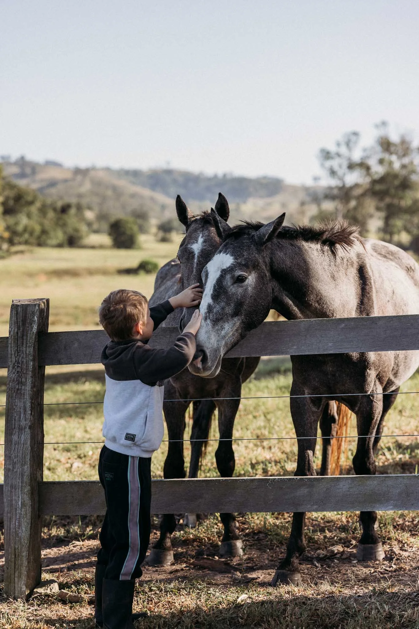 A young boy petting two horses through a wooden fence in a rural field with hills and trees in the background.