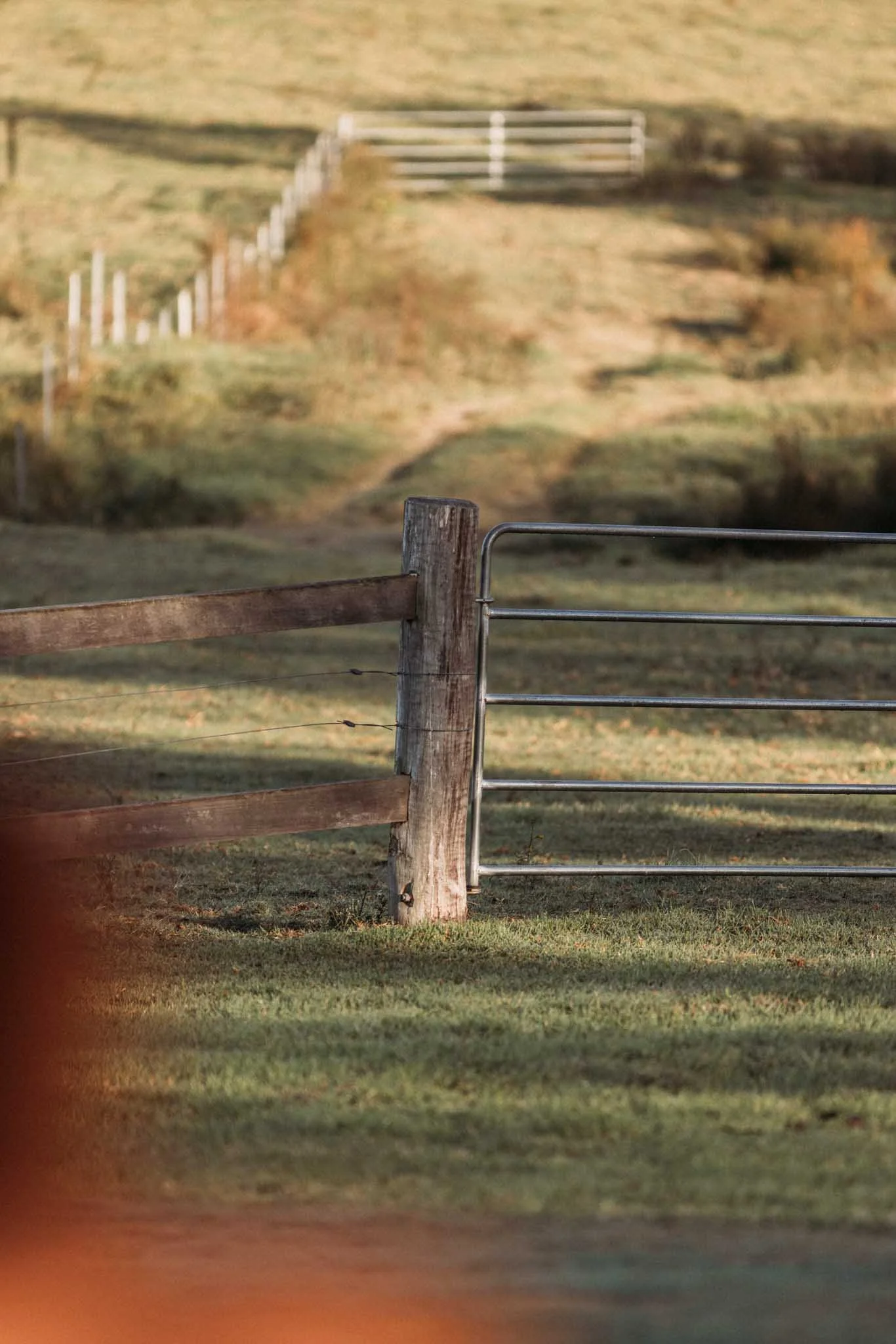A rural landscape with a wooden fence post, a wire fence, a metal gate, and a hilly background with grass and trees.