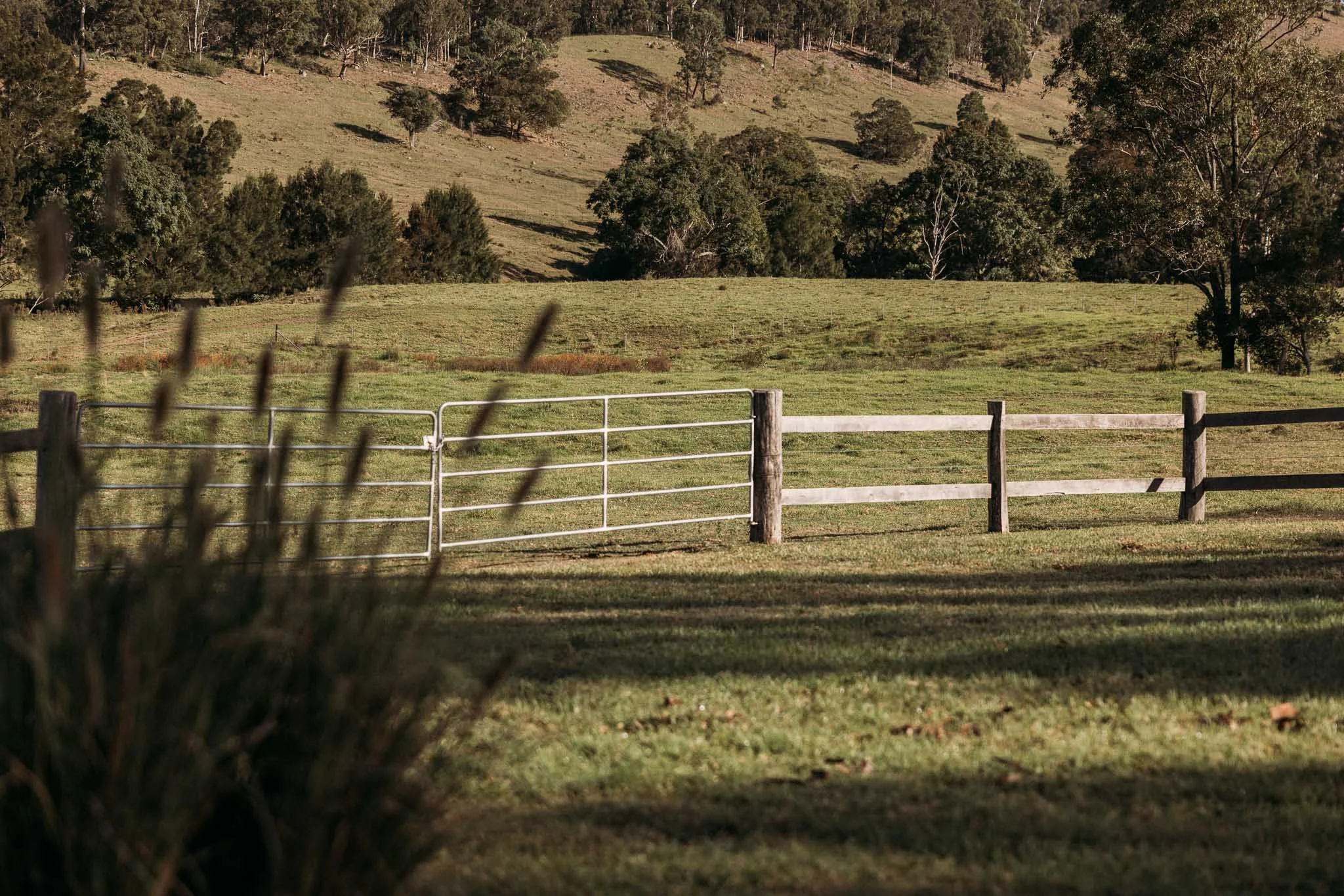 Open grassy field with a metal fence in the foreground and trees on rolling hills in the background, during daytime.