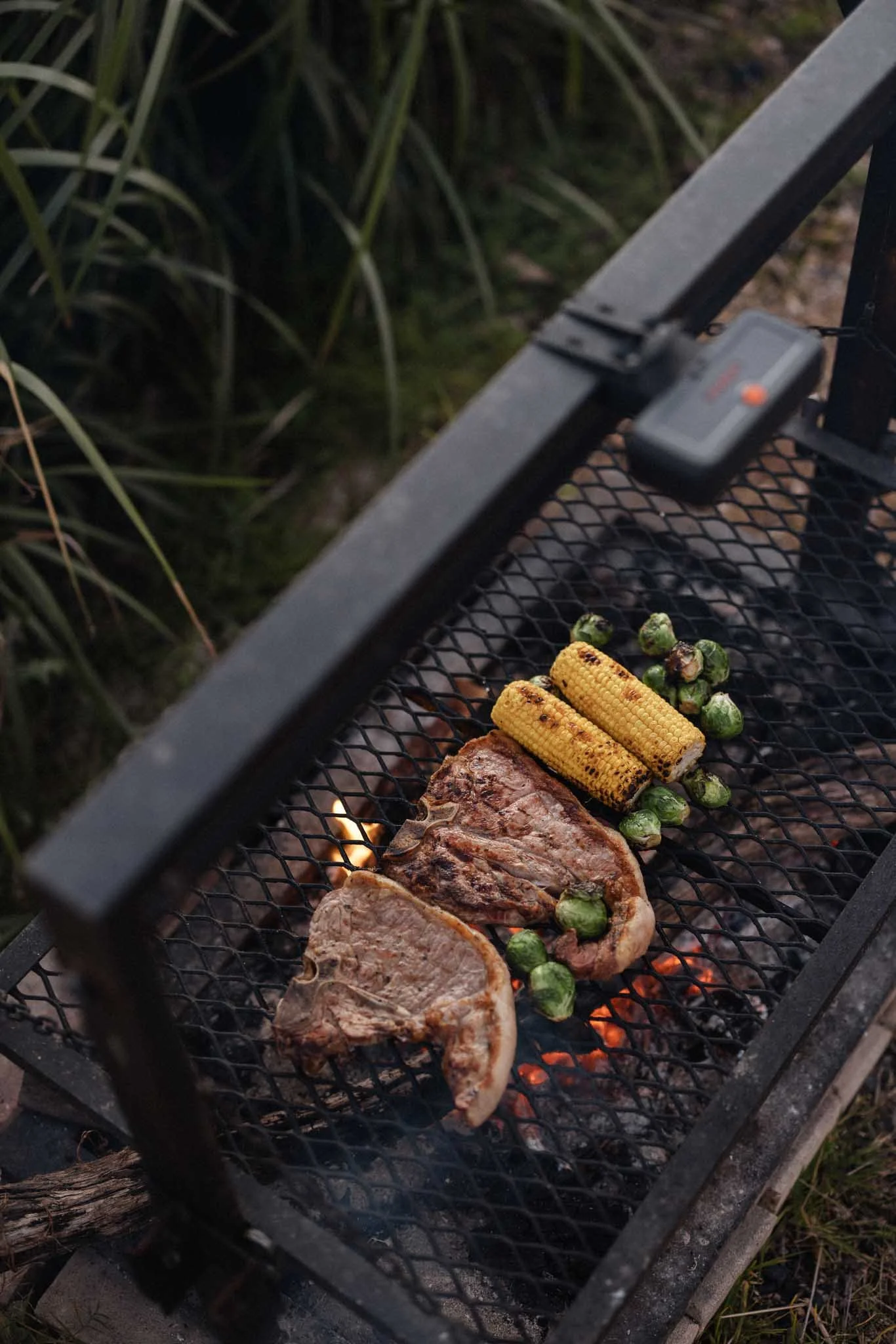 Meat, corn on the cob, and Brussels sprouts grilling on a barbecue grill outdoors at dusk.
