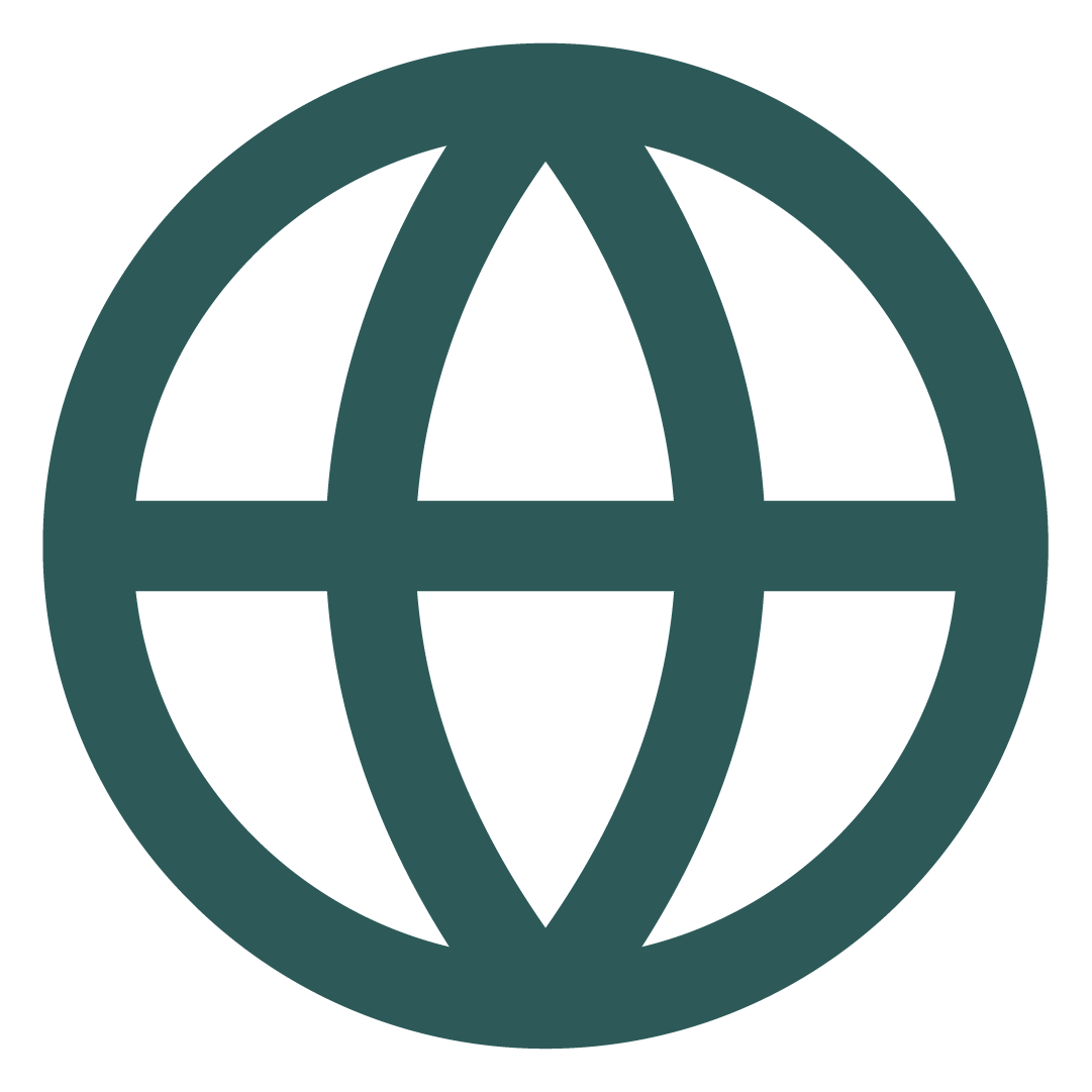 Icon of a globe representing the internet or worldwide connectivity.