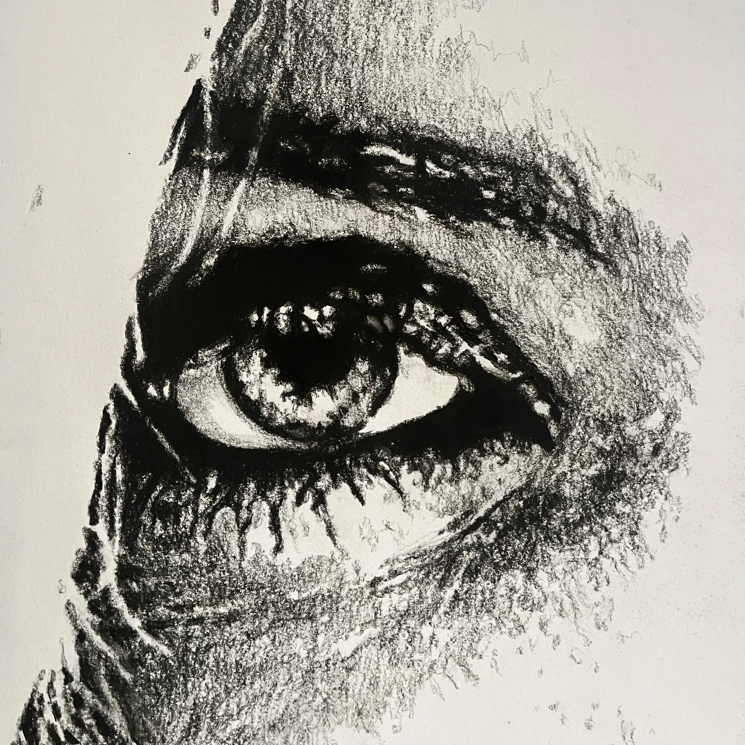 Drawing II: Structure &amp; Light