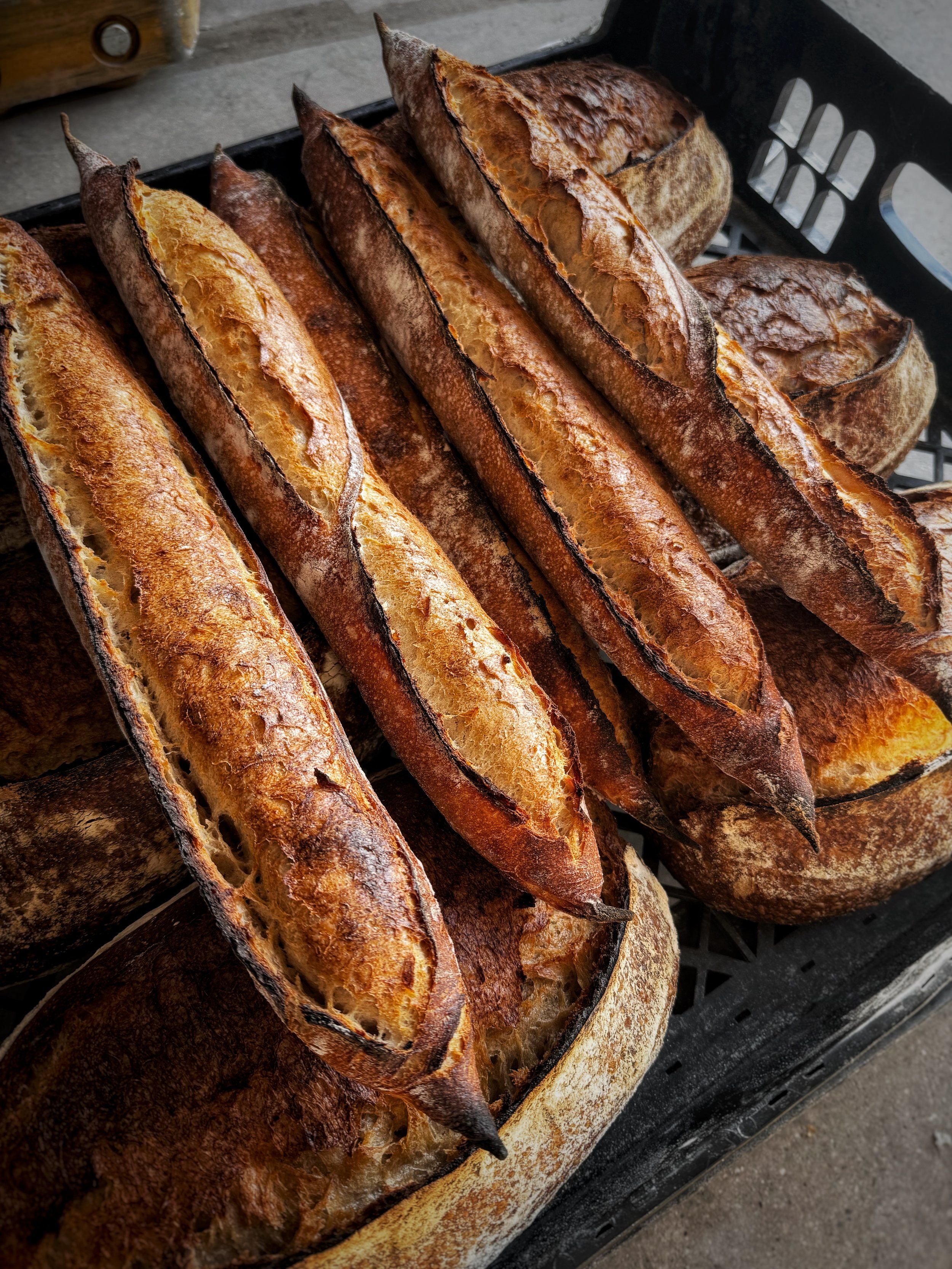 Several crusty, toasted loaves of bread in a black basket.