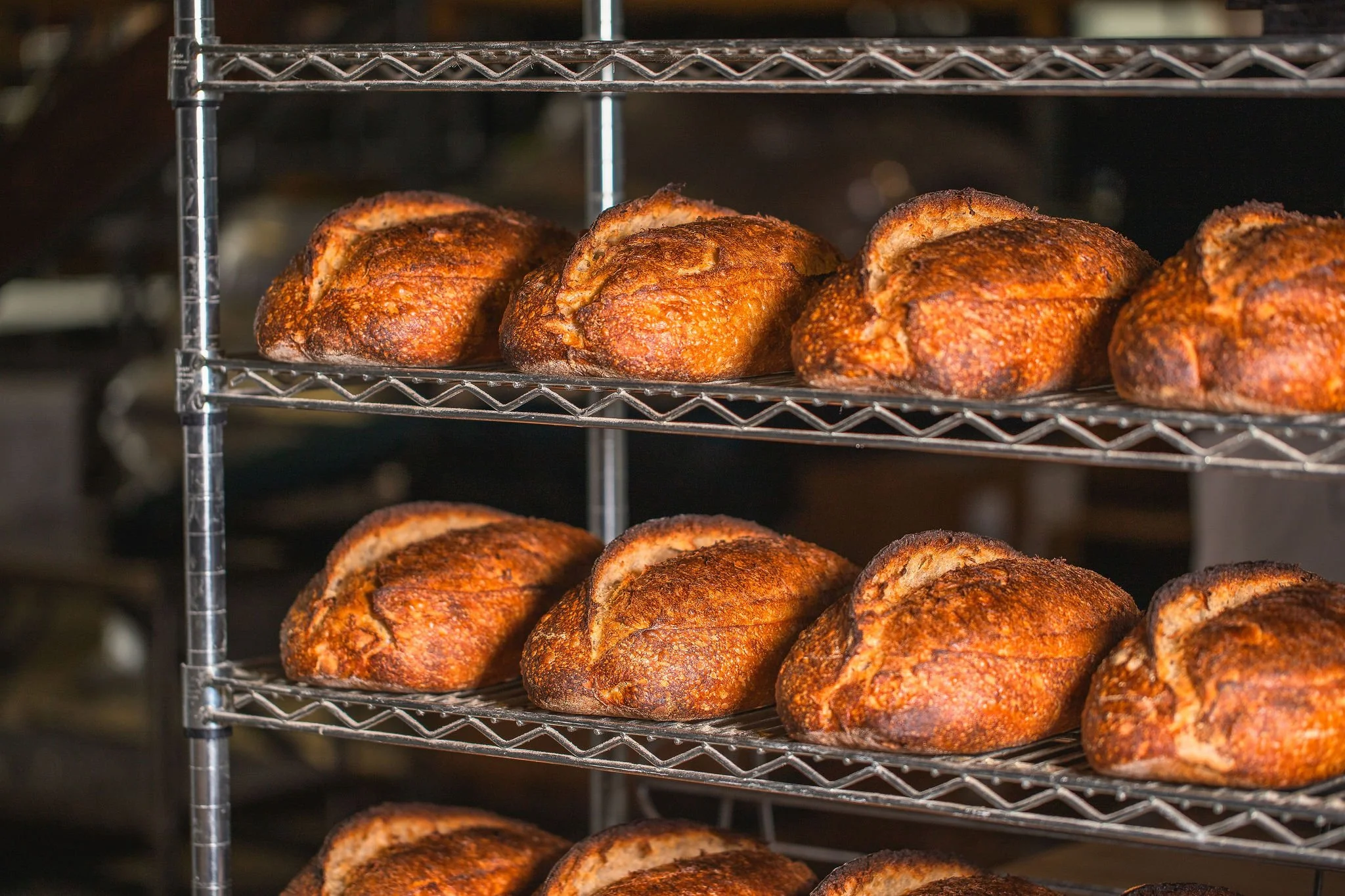 Several freshly baked loaves of bread with a golden, crusty exterior on a metal rack.