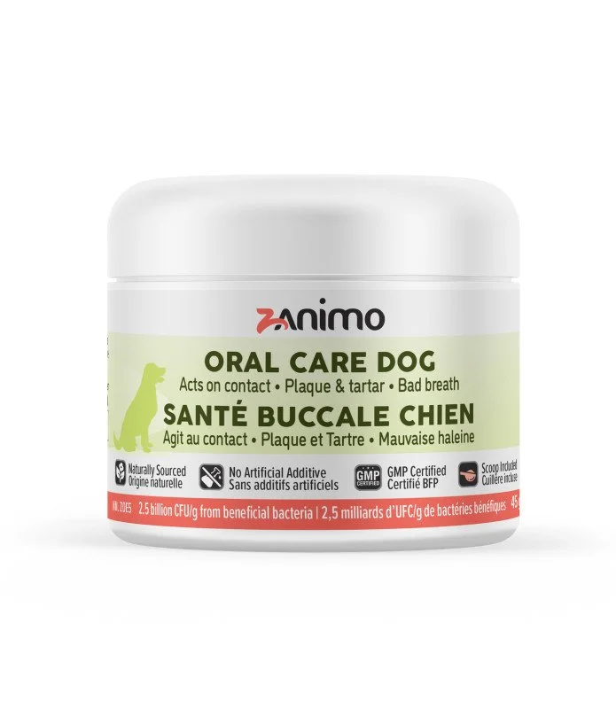 Santé buccale chien